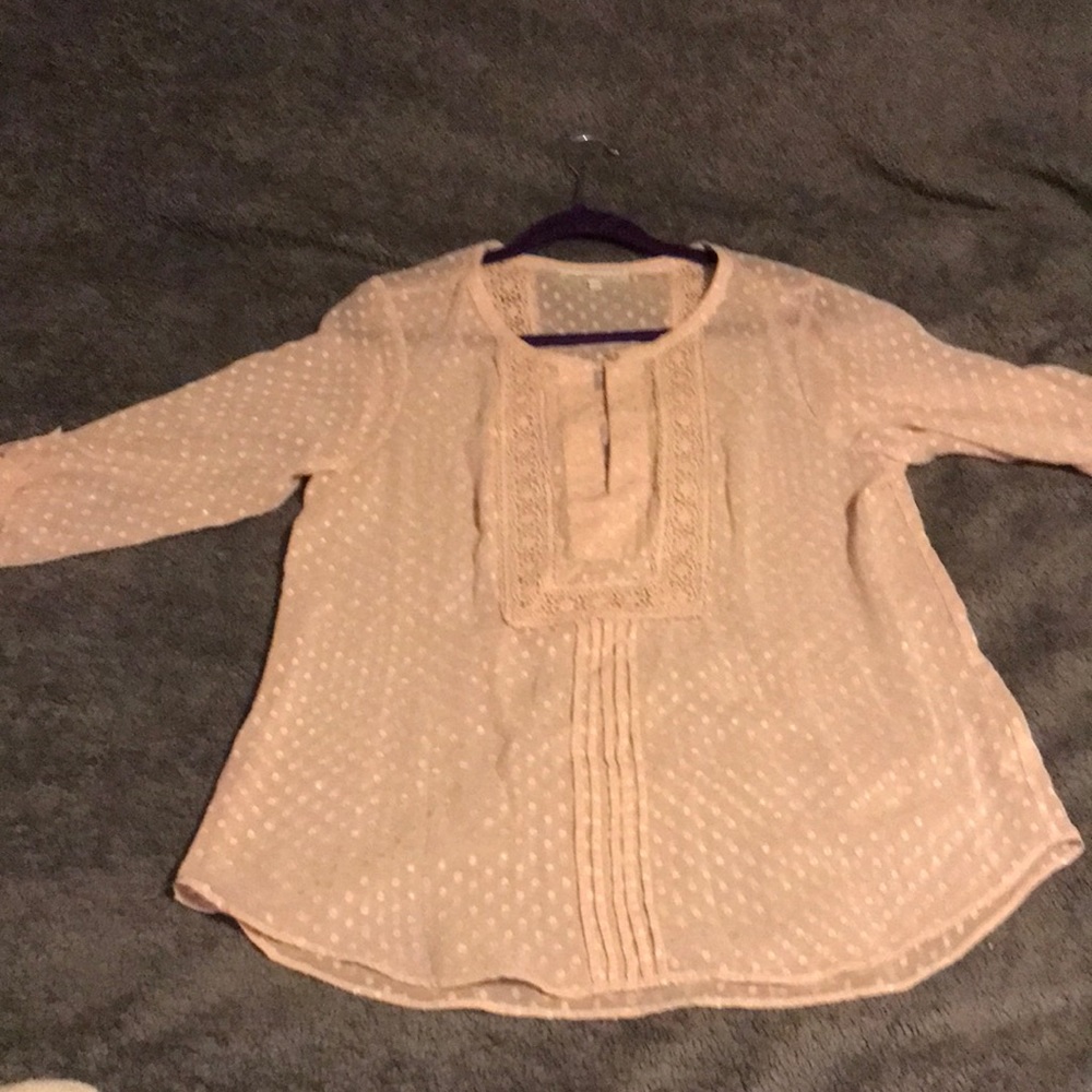Danielrainn Pink Sheer Blouse size large